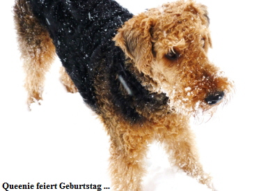 Queenie feiert Geburtstag ...