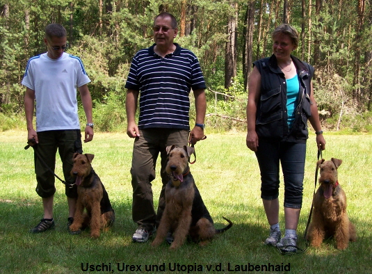 Uschi, Urex und Utopia v.d. Laubenhaid