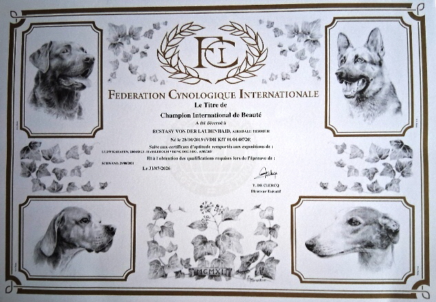 Ecsy_INT_CH20260821_094038