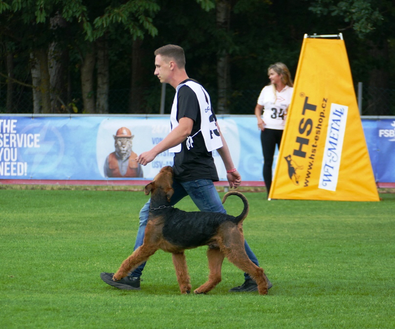 VDH DM 2026 Jan_Ecsy_UO