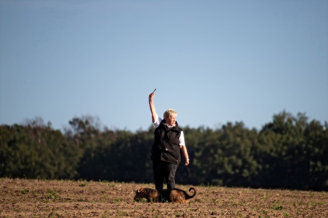 Cgarlotta_IGP10820 (1)