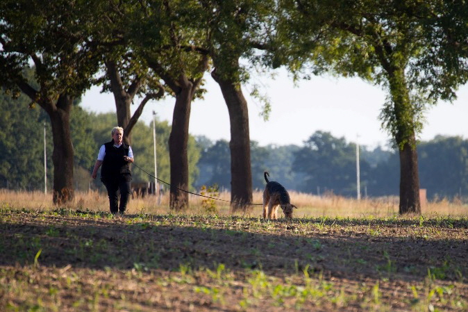 Cgarlotta_IGP10820 (2)