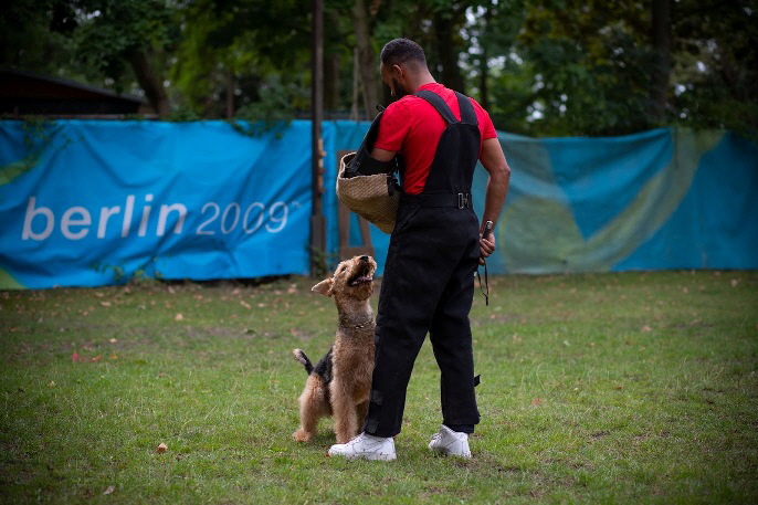 Cgarlotta_IGP10820 (4)