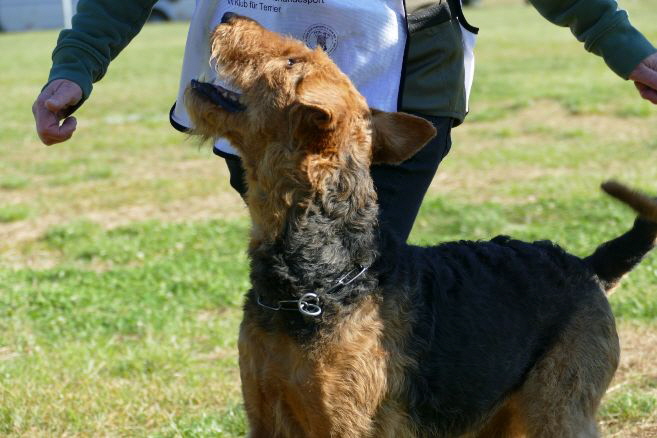 Enne_KLSP2025_P1160167