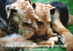 by Hundefotografie Karin F�rster