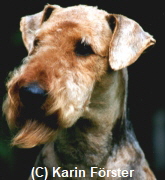 by Hundefotografie Karin F�rster