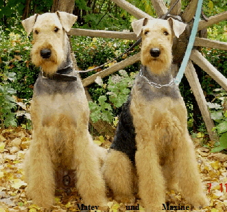 Matey             und           Maxine