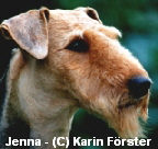 by Hundefotografie Karin F�rster