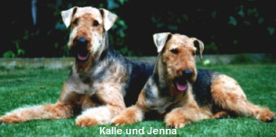 by Hundefotografie Karin F�rster