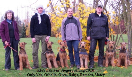Klub-F�hrten-Siegerpr�fung 2010
Only You, Othello, Orca, Rahja, Ramses, Matey