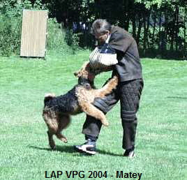 LAP VPG 2004 - Matey