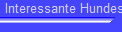 Interessante Hundeseiten