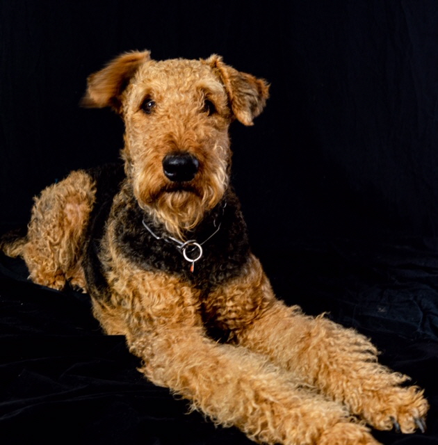 Balu191119 (12)