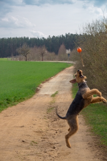 Balu191119 (2)