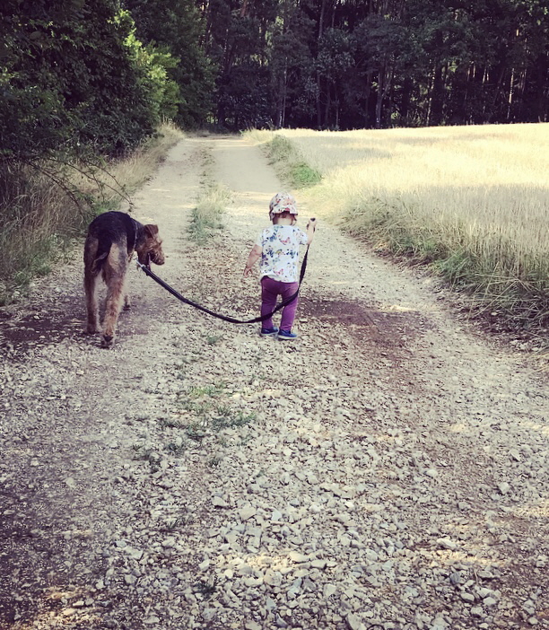 Balu191119 (7)
