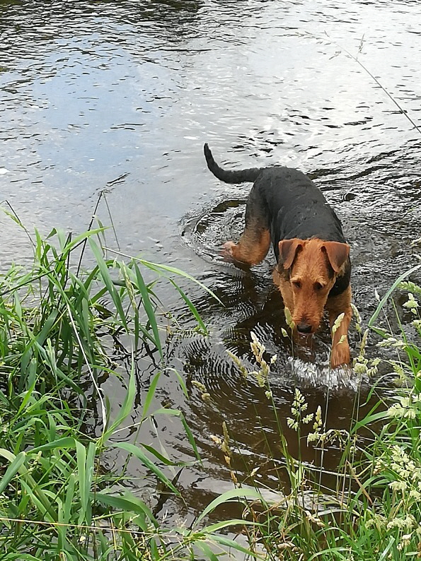 ElRoy_wassertreten