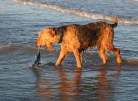 Kessy f�ngt Fisch