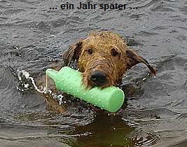 ... ein Jahr sp�ter ...