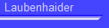 Laubenhaider