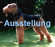 Ausstellung