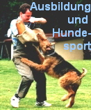 Ausbildung
und 
Hunde-
sport