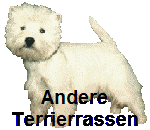 Andere
Terrierrassen