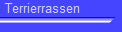 Terrierrassen