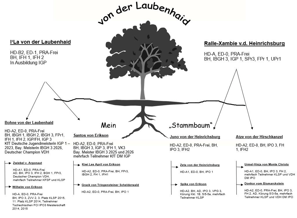 Stammbaum_FotoHP_Ila_Xambie