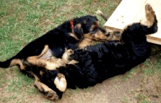 Madonna und Maxi